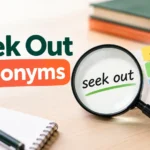 seek out synonym
