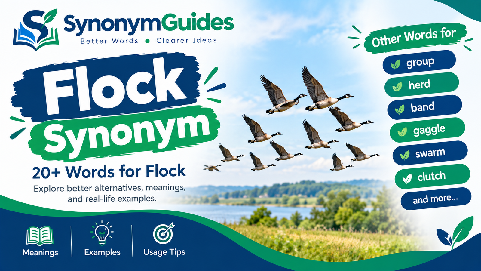Flock synonym words and meanings
