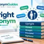 upright synonym